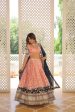 Lorenvalley Peach Pure Viscose Jacquard with 2D Dyeing and Embroidered Sequins work Lehenga Choli For Cheap