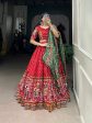 Lorenvalley Red Dola Silk Patola Print With Gamthi Work Lace Border Lehenga Choli with Dupatta Online now