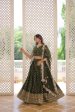 Lorenvalley Green Pure Viscose Jacquard with Double Zari work Lehenga Choli Online Sale