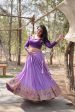 Lorenvalley Lavender Pure Viscose Jacquard with Kalamkari Jari Border Lehenga Choli Supply