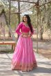 Lorenvalley Pink Pure Viscose Jacquard with Kalamkari Jari Border Lehenga Choli Fashion