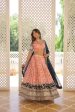 Lorenvalley Peach Pure Viscose Jacquard with 2D Dyeing and Embroidered Sequins work Lehenga Choli For Cheap