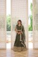 Lorenvalley Green Pure Viscose Jacquard with Double Zari work Lehenga Choli Online Sale