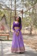 Lorenvalley Lavender Pure Viscose Jacquard with Kalamkari Jari Border Lehenga Choli Supply