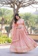 Lorenvalley Peach Pure Viscose Jacquard with Embroidered Sequins work Lehenga Choli Cheap