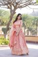 Lorenvalley Peach Pure Viscose Jacquard with Embroidered Sequins work Lehenga Choli Cheap